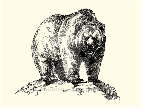 Медведь гравюра