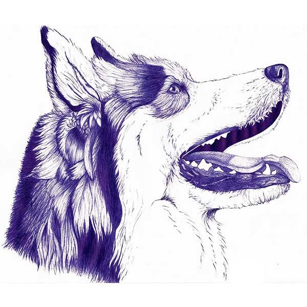 Ручка "собака"