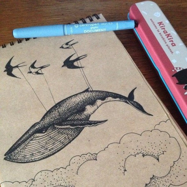 Акулы в скетчбуке