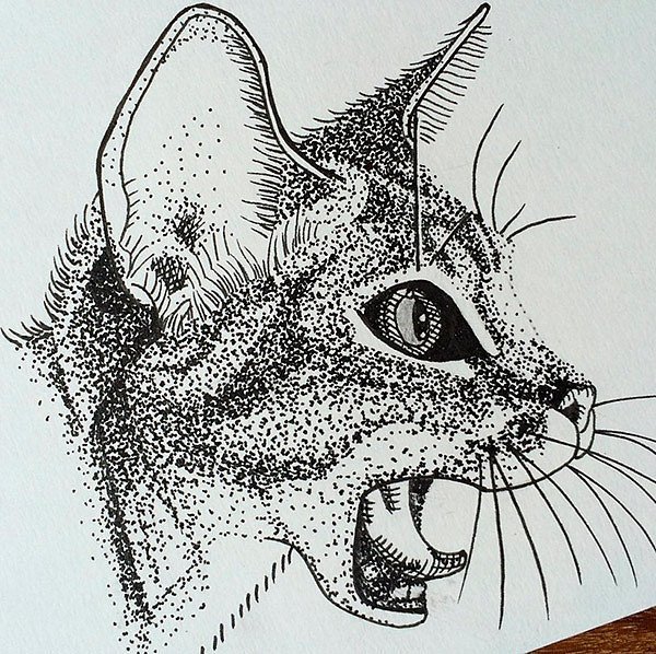 Точечное рисование ручкой