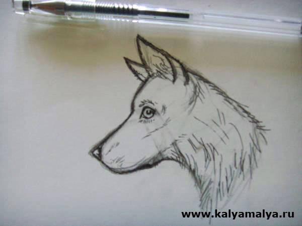 Зарисовка собаки ручкой