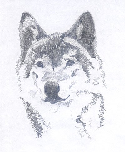 Рисунки маркером черным