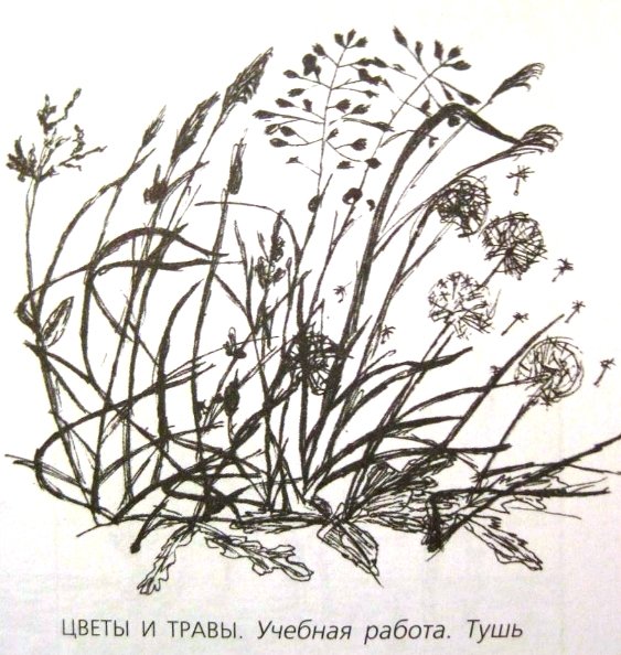 Стебельки осенних трав