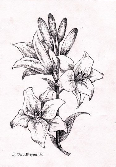 Цветы точками гелевой ручкой