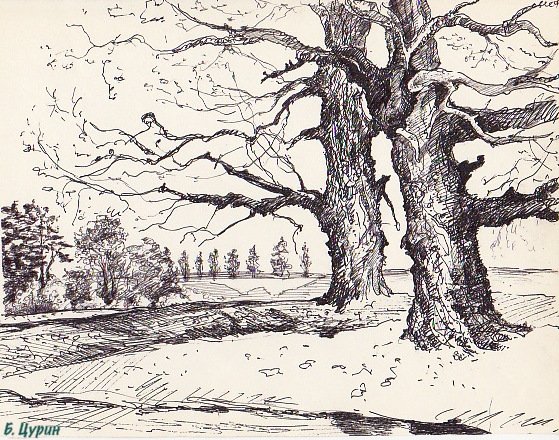 Деревенский пейзаж тушью