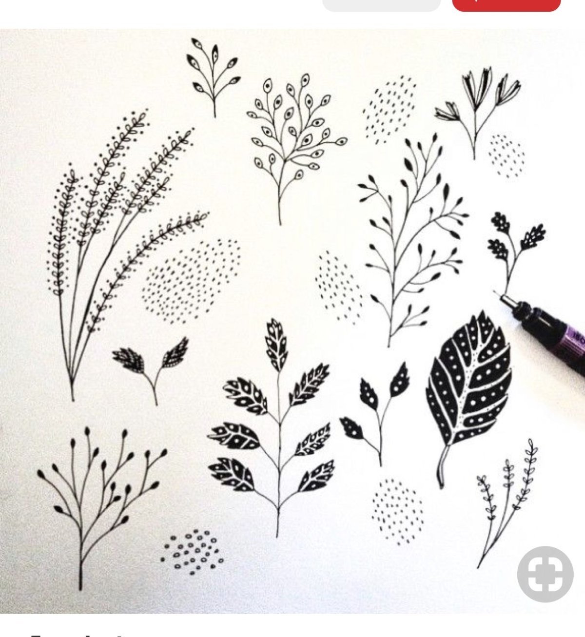Трава рисунок черной ручкой (48 фото) » Рисунки для срисовки и не только