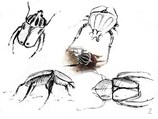 Наброски Жуков