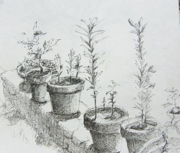 Ручка цветок в горшке