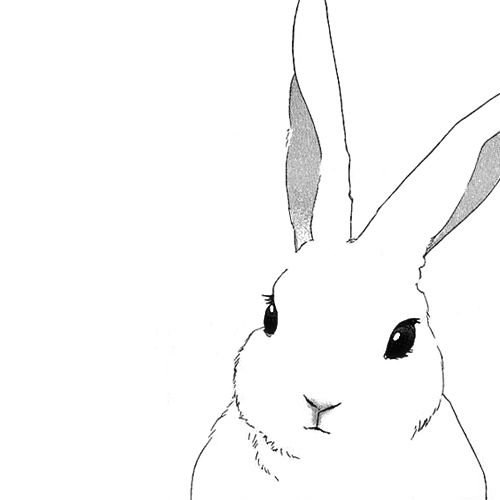 Заяц арт карандашом