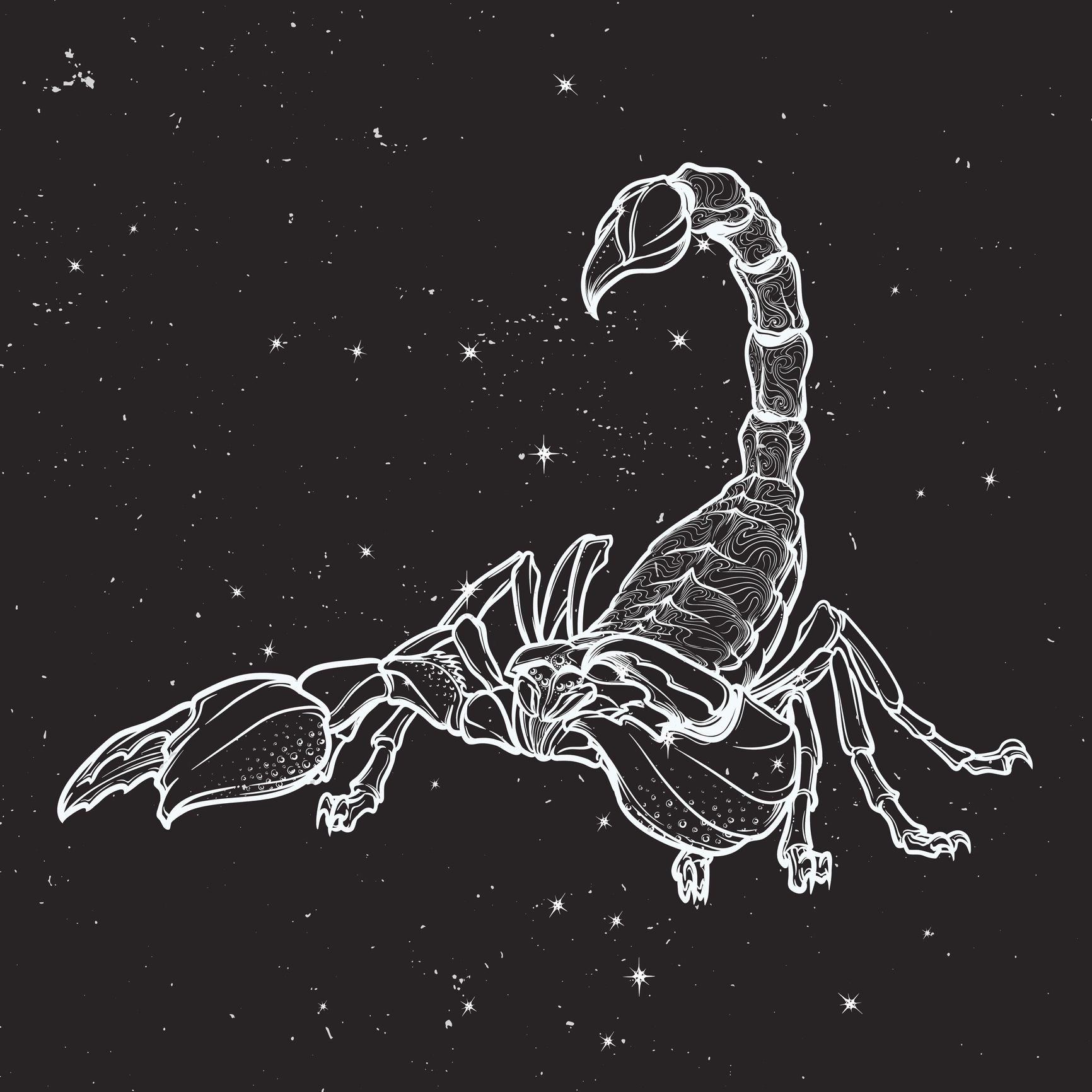 Созвездие скорпиона на черном фоне