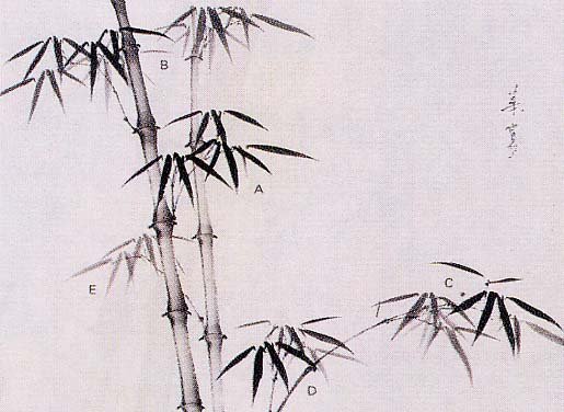 Бамбук рисунок ручкой