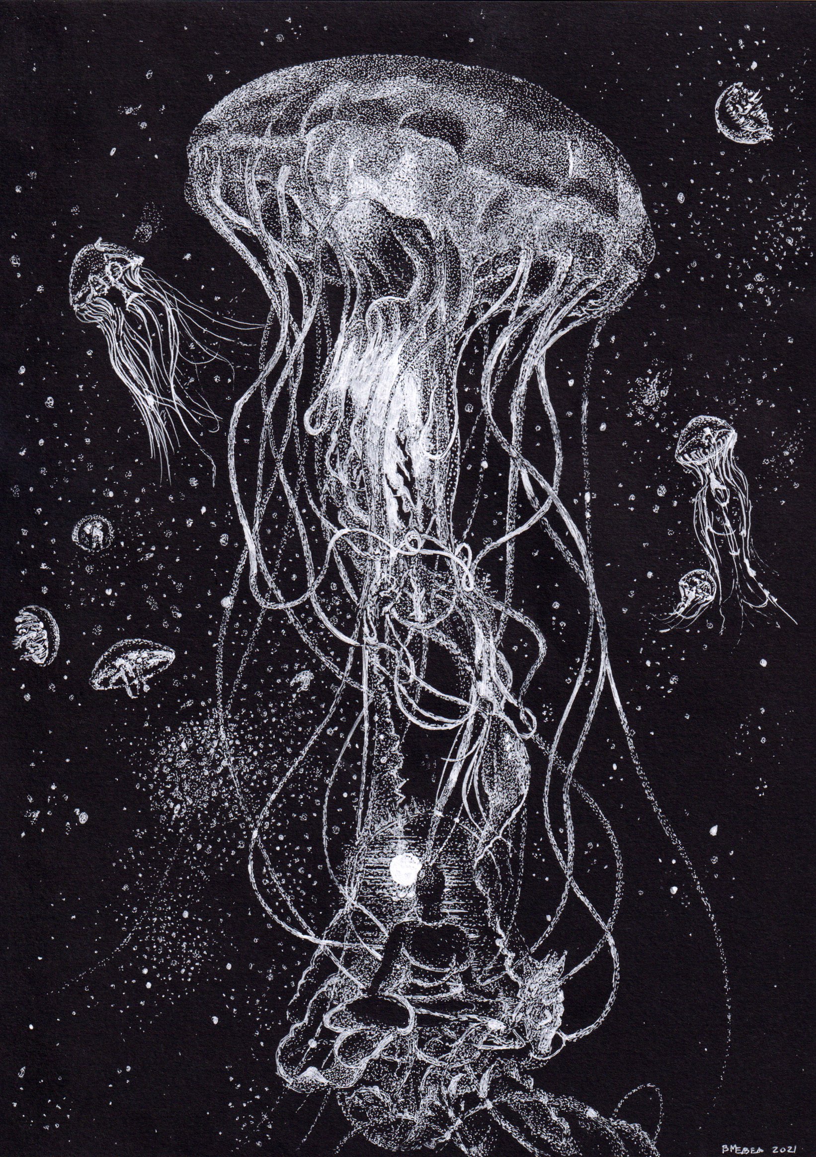 Черная медуза