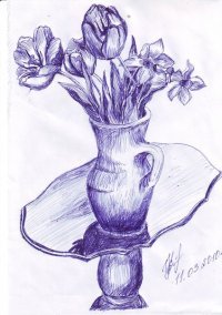 Натюрморт шариковой ручкой