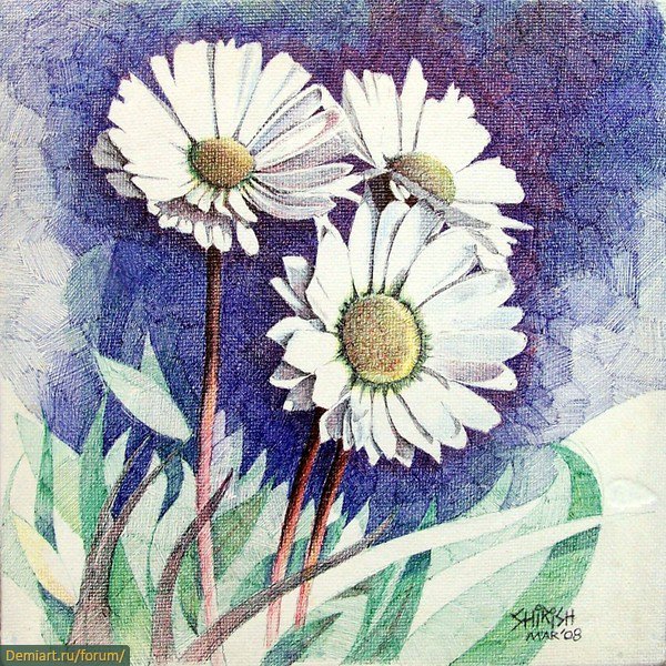 Цветы шариковой ручкой