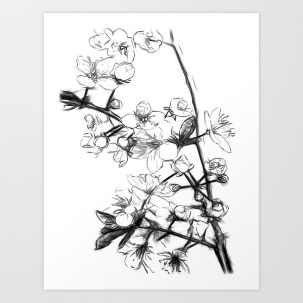 Сакура для выжигания