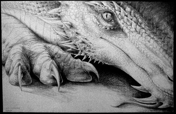 Драконы рисунки карандашом реалистичные