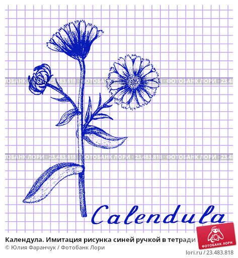 Рисунки синей ручкой простые