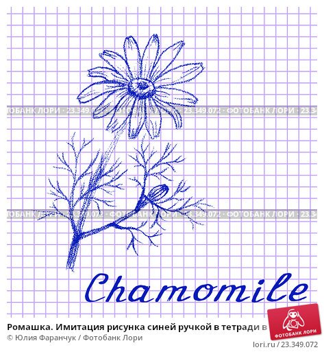 Рисунки синей ручкой в тетради