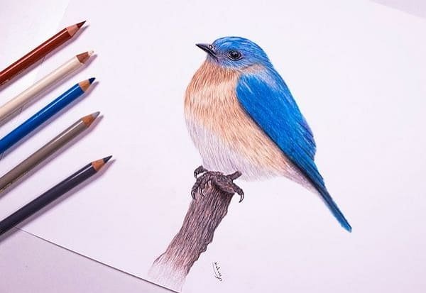 Иконка листочек с ручкой