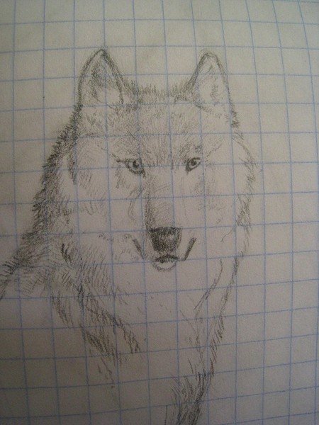 Рисунки на листе в клетку карандашом