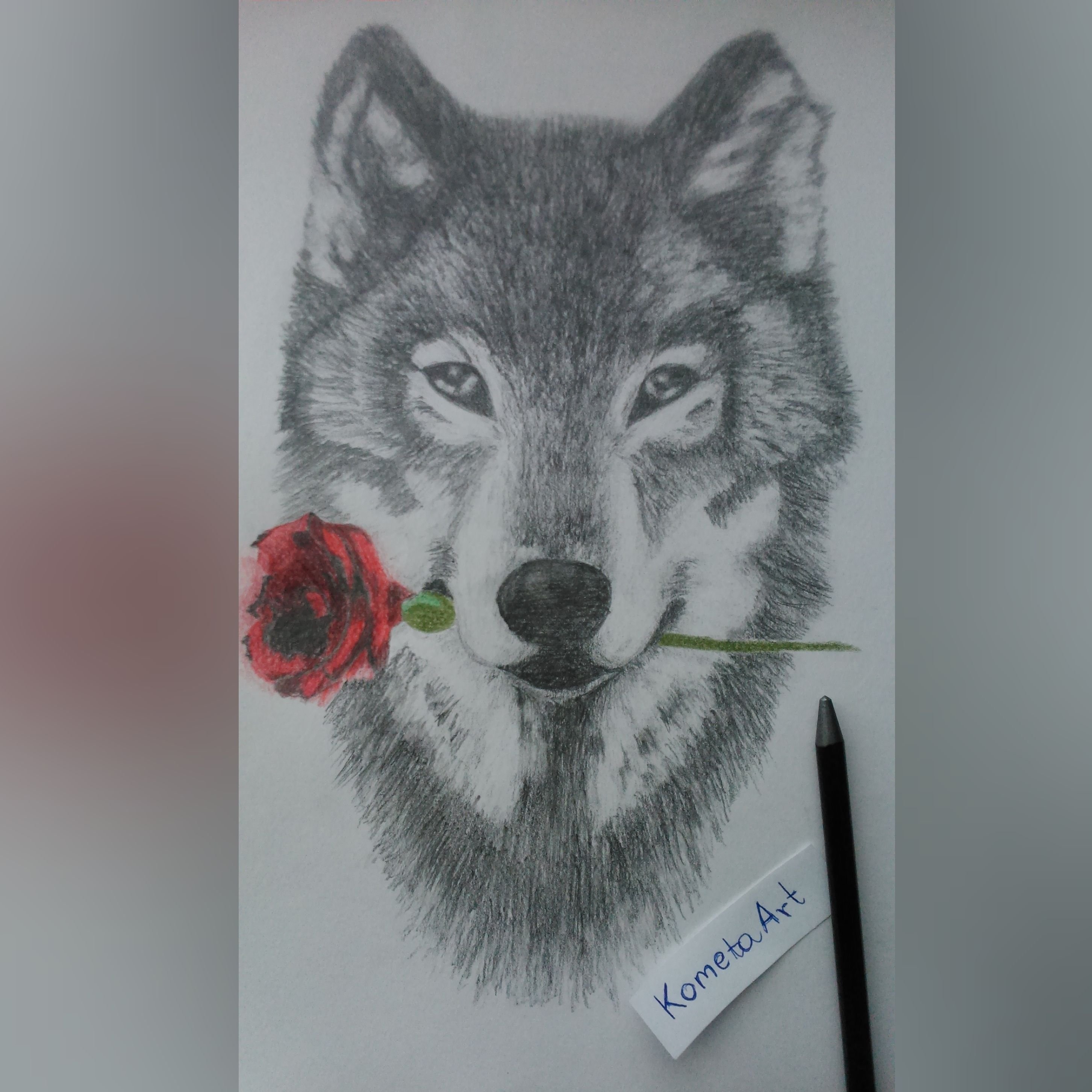 Волк с розой во рту