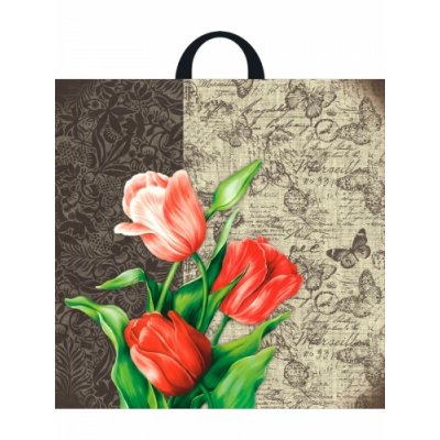 Пакет с петлевой ручкой ПВД 44х44 (70 мкм) "свежесть" (25/250 шт.) Интерпак