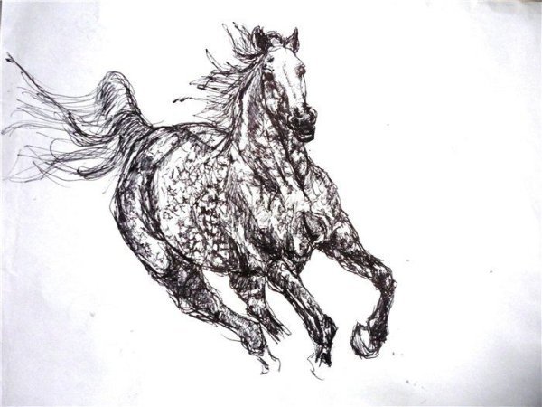 Лошадь черной ручкой