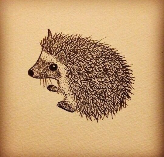 Ежик набросок