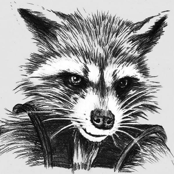 Эскизы енотов