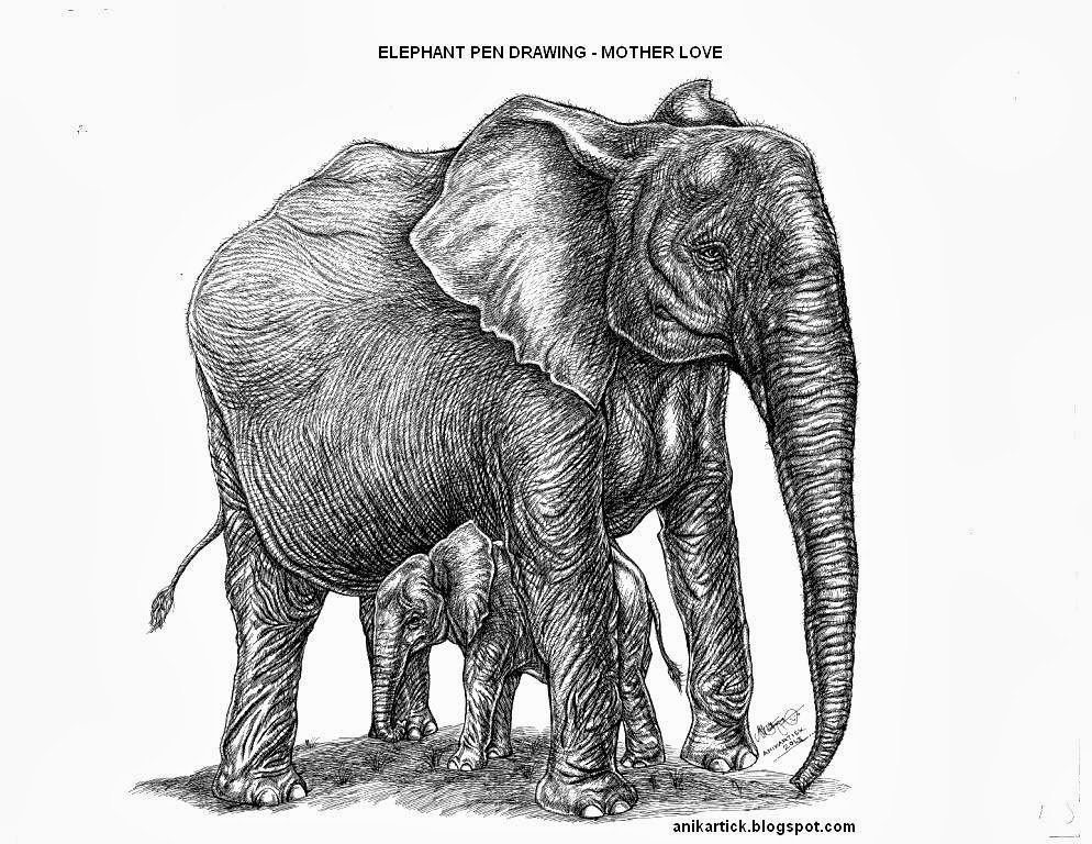 Найди слона на картинке. Слон иллюстрация. Слон ручкой. Зарисовки слона. Слон рисунок.