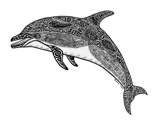Дельфины Графика
