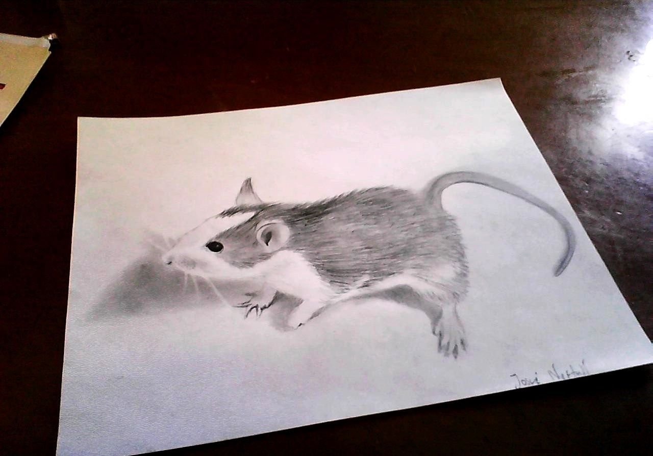 Мышь рисовать реалистичная