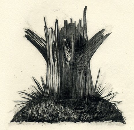 Черный пень