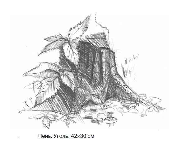 Зарисовка пенька