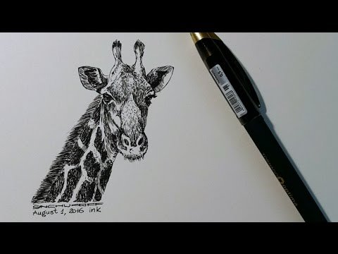 Жираф карандашом