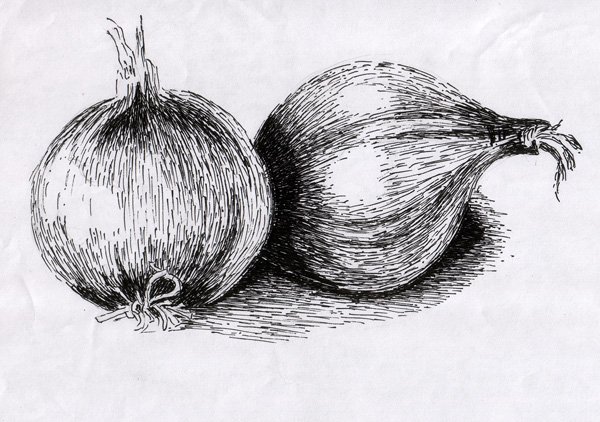 Лук набросок