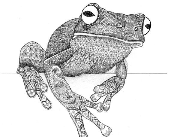 Раскраска антистресс лягушка