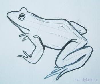Рисунок лягушка карандашом 7 класс