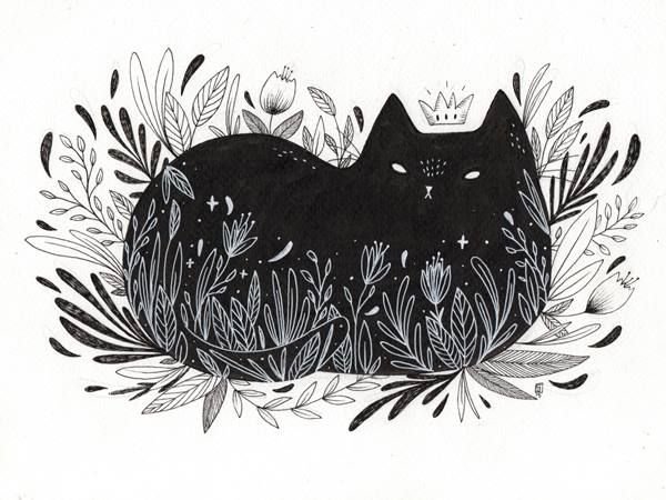 Кот Графика