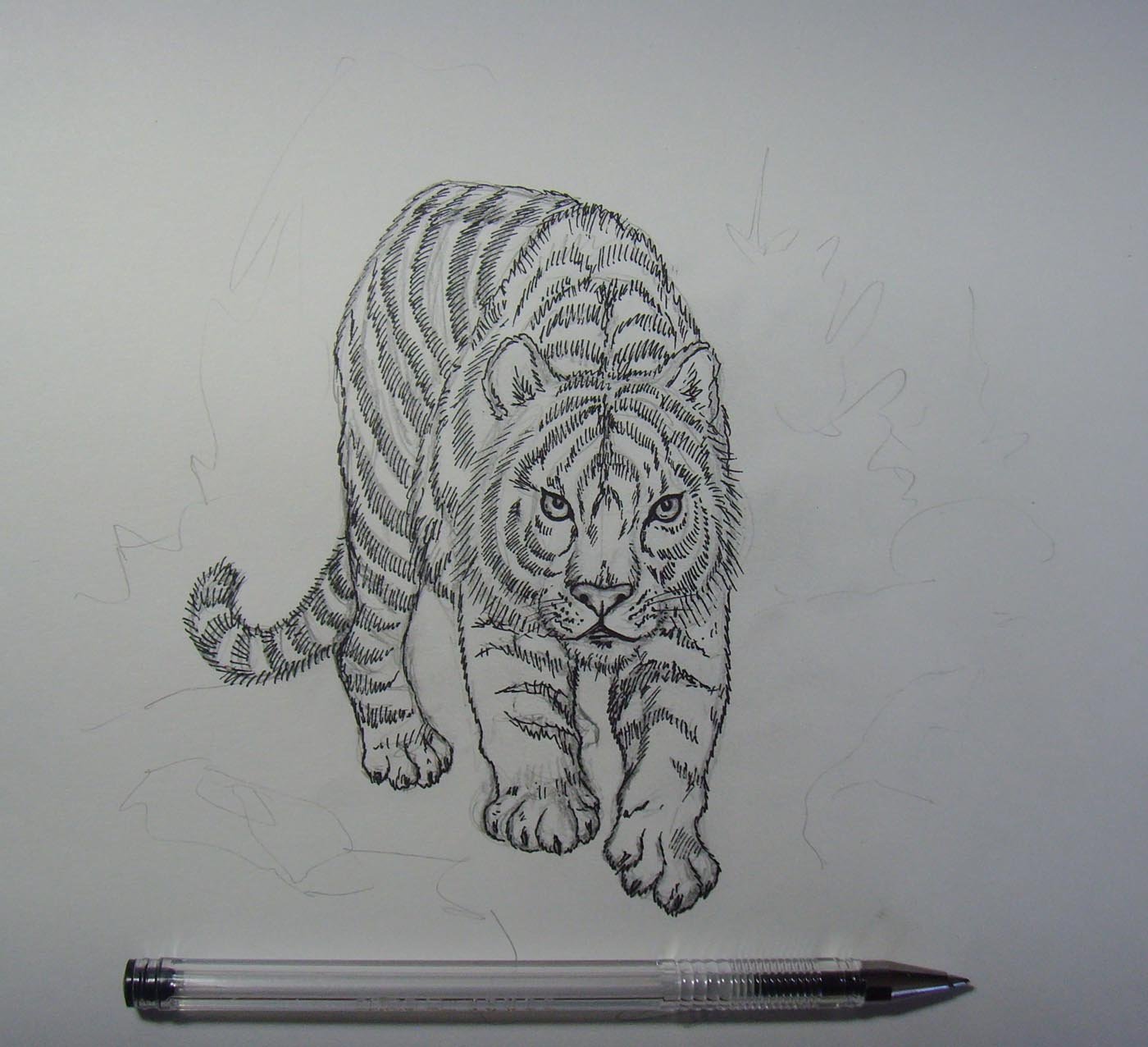 Тигр нарисованный ручкой