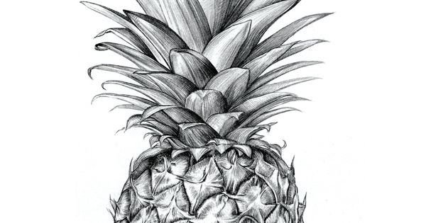Тату на белом фоне ананас