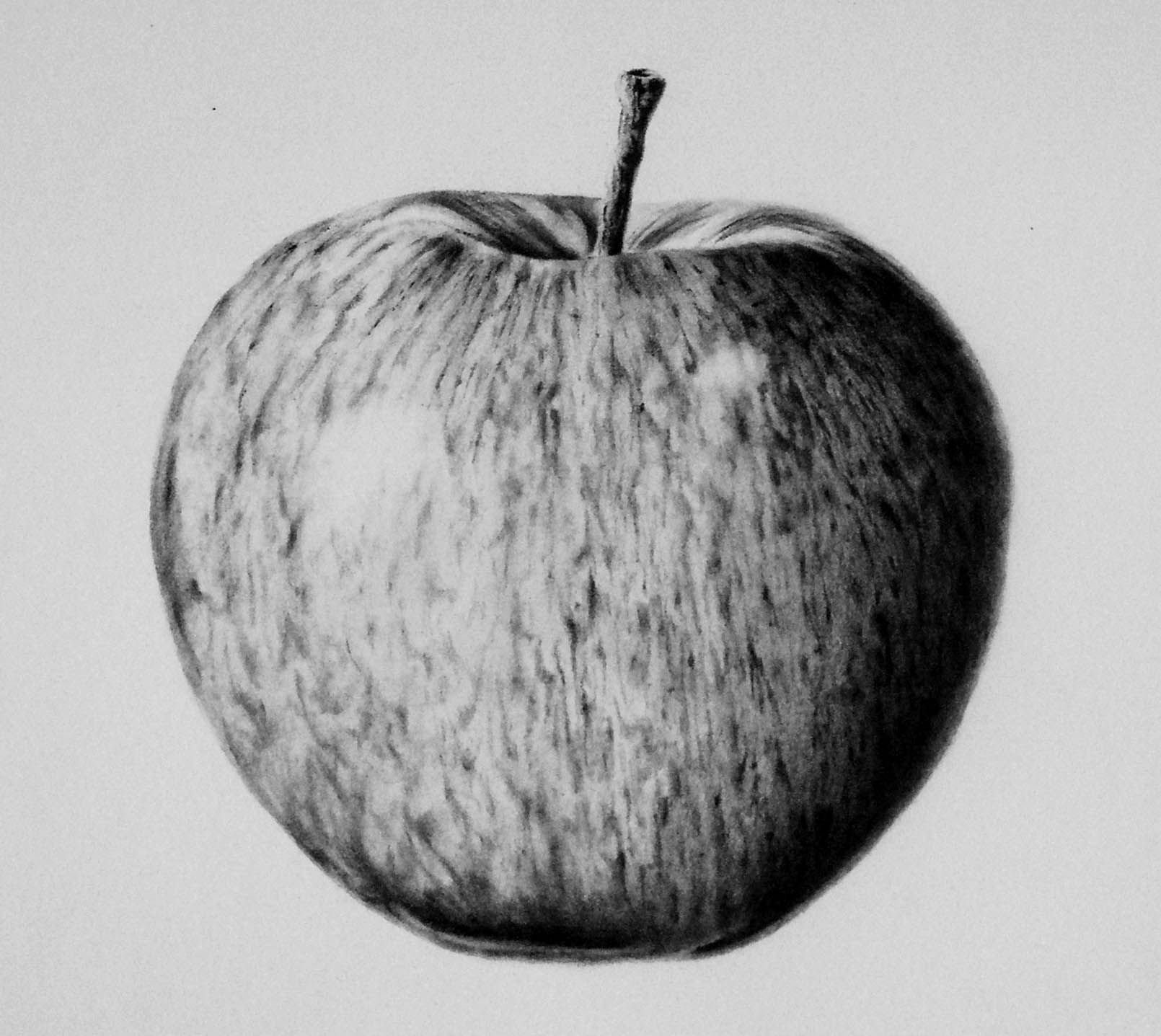 Набросок яблока карандашом