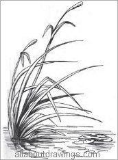 Изобразить колыхание трав на ветру