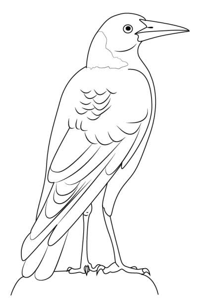 Трафарет Грача для рисования