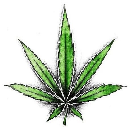 Марихуана рисовка
