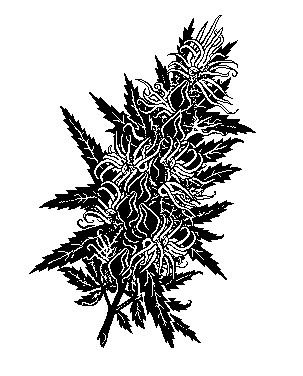 Тату шишка конопли