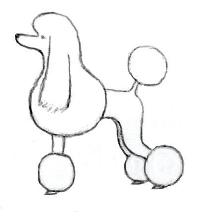 Пудель рисунок