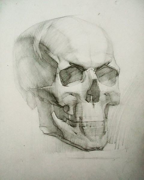 Череп Академия художеств Репина