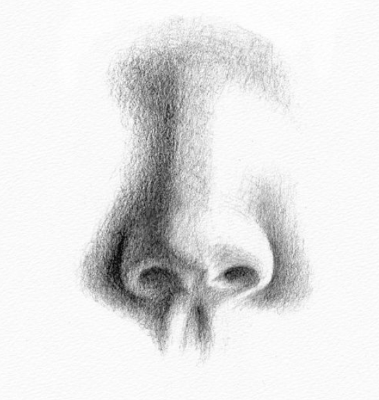 Нос рисунок карандашом (48 фото)
