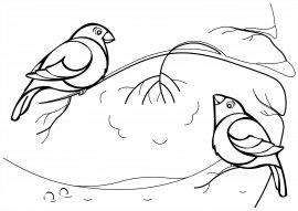 Раскраска Снегирь на ветке рябины